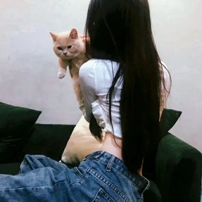 皎若云间月